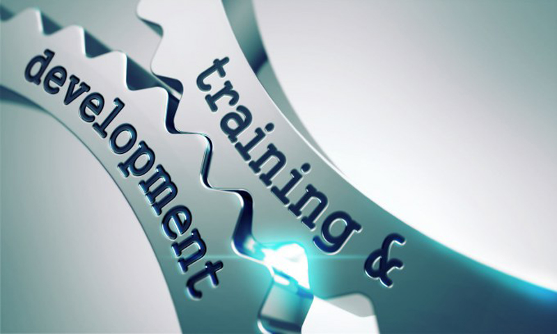 Competencias Profesionales: 12 reflexiones