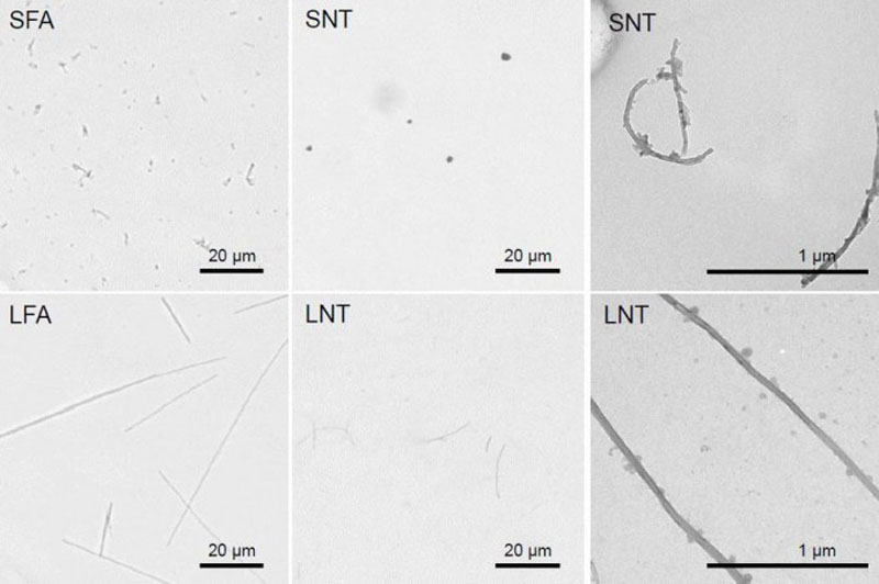 Los nanotubos de carbono largos son tan cancerígenos como el amianto